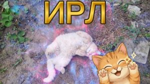 НОВЫЙ ИРЛ РОЛИК НА МОЕМ КАНАЛЕ