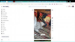 Котята питомника кошек  ДОМИНО МЕДЖИК