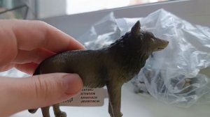 Новинки