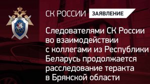 СК России во взаимодействии с коллегами из Республики Беларусь продолжается расследование теракта