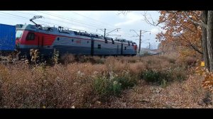 Электровоз 3ЭС5К-1377 «Ермак» с контейнерным поездом выходит из кривой,следуя по осеннему Транссибу.