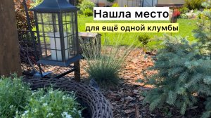 Рабочий ВЛОГ! Продолжаю озеленять каменистую зону!