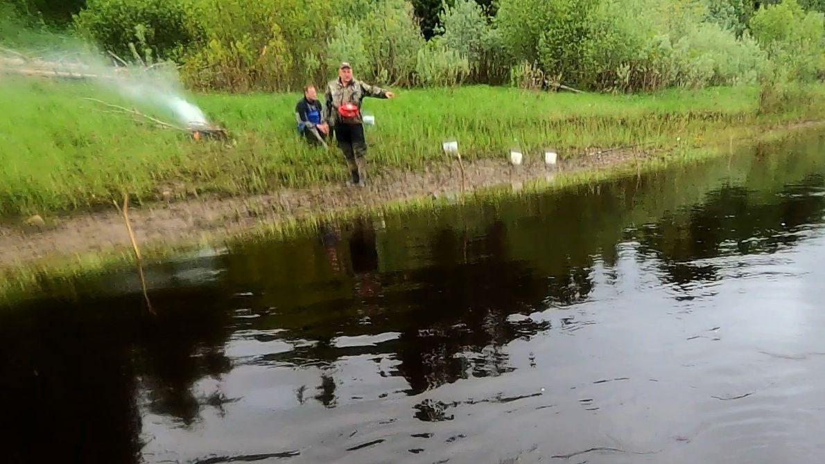 Рыбалка на продольники и не только \ 03.06.2026 \ Утренняя проверка проверка смотреть онлайн
