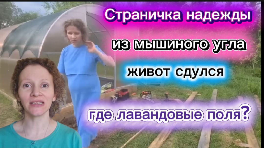 Страничка надежды и сожителя Чёс продолжается Куда делся шарик? смотреть онлайн