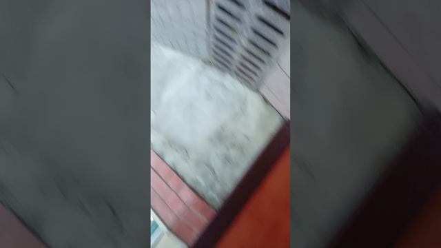 2598.mp4 смотреть онлайн