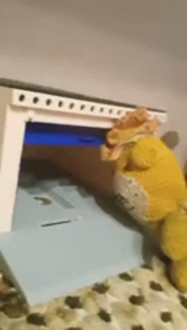 Ограбление денег