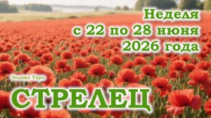 СТРЕЛЕЦ | ТАРО прогноз на неделю с 22 по 28 июня 2026 года