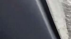 Пугающие рои мошкары атакуют Томск — обычные прогулки по городу стали настоящим испытанием.