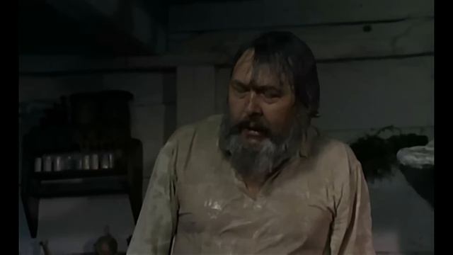 Знахарь. (1981. Польша. Советский дубляж)