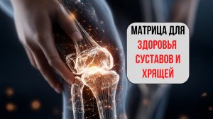 Матрица СУСТАВЫ И ХРЯЩИ 2,5 часа | Без боли в коленях, тазобедренных и позвоночнике