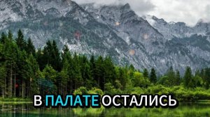 Истории из жизни | Аудио рассказы | Богатый отец отказался от дочери из-за бедног| Жизненные истории