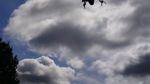 ЛЕСНОЙ ДВИЖЖЖЖ. Тестируем дальше ,ветер вроде стих ,поднялись на 6-7 метров.