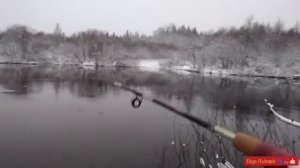 Рыбалка на дневного налима(донка)🎣

#ТОПчимДальше #Рыбалка #РыбалкавКарелии #РыбалканаДонки #Налим