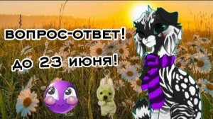 Вопрос-ответ!