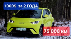 BYD seagull  что случилось с китайским электромобилем за 2 года 75 000 км #васькапилот