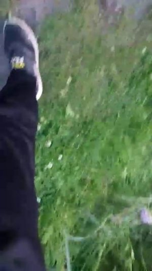 ай