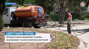 В Севастополе обновляют клумбы и высаживают тысячи сезонных растений