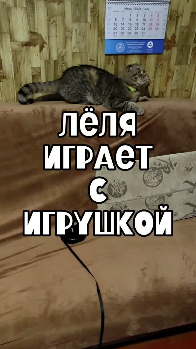 Лёля играет с игрушкой