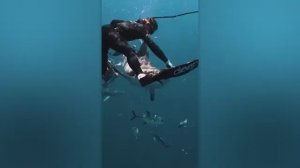 Невероятные Моменты Снятые на Камеру