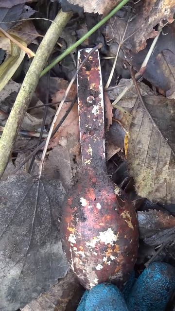 Немецкая ложка-вилка, раскопки по войне #metaldetecting #находкисметаллоискателем смотреть онлайн