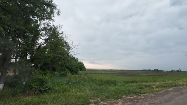 1000055907.mp4 смотреть онлайн
