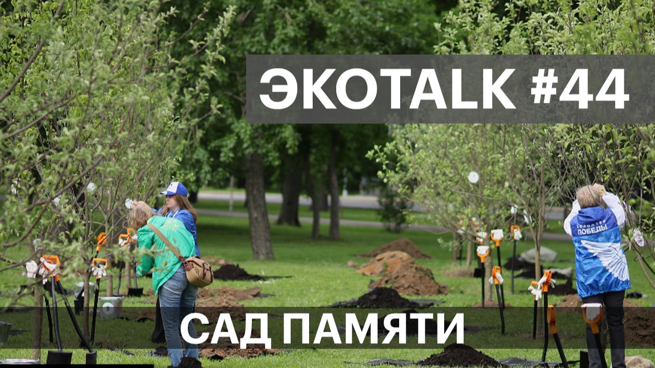 ЭкоTALK. Часть - 44 смотреть онлайн
