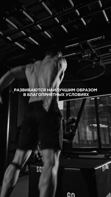 Iskra Park Gym // пример вертикальных видео