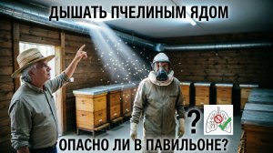 Опасно ли дышать пчелиным ядом в павильоне? Отвечает профессор Кашковский 🐝💨