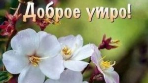 УТРЕННЯЯ ПОЧТА! СКОРО В ТУАЛЕТ ПО ПАСПОРТУ! У  ВАСЕВСКОГО ЗНАТНО ПОДГОРЕЛО!