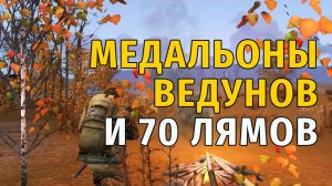 Stay Out | 172. Медальоны Ведунов и 70 лямов