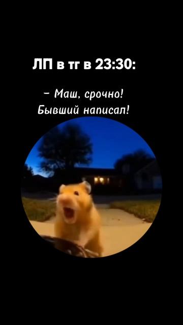 Хорошо, когда подруга — таролог