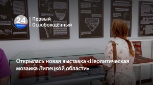 Открылась новая выставка «Неолитическая мозаика Липецкой области». 19.06.2026