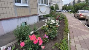 Белгород в цвету 19.06.26.