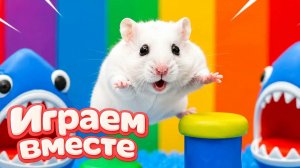 ХОМЯК ВЫБИРАЕТСЯ ИЗ СЕКРЕТНОЙ ХОМЯЧЕЙ ТЮРЬМЫ ! Забавные животные ! Супер лабиринт для хомяка №27