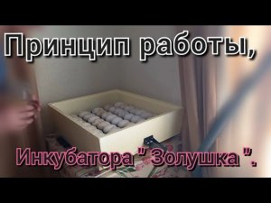 Эксплуатация инкубатора«Золушка «. Принцип работы. Обзор 2 часть.