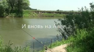 Опять на Алее....