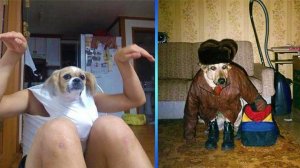 они везде.....