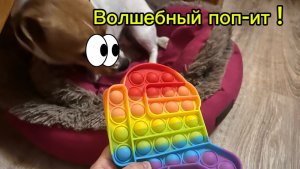 Мы нашли волшебный поп-ит желаний😱