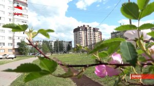 Покос травы на общественных территориях