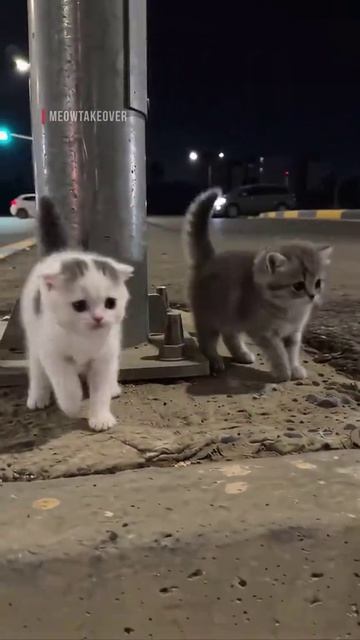 Эдит смотреть онлайн