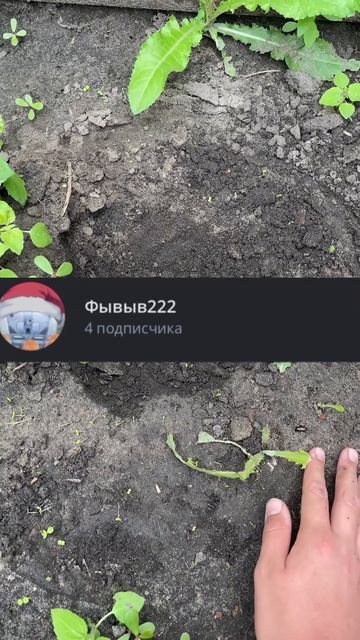 Копаем яму! День 6