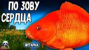 Пришёл за выносливостью а остался по зову сердца #рр4