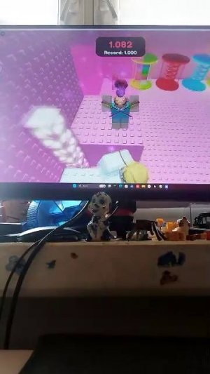 играю в роблокс