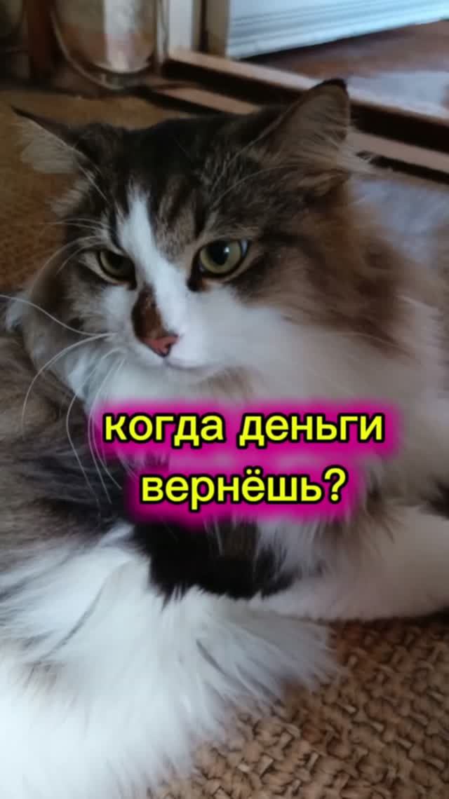 Когда деньги вернёшь? 🤣