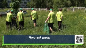 Чистый двор