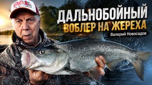 Жерех с дальней дистанции! Мастер-класс от Валерия Новосадова. Трофей на ZipBaits Rigge Flat 80
