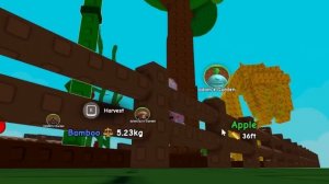 МНЕ ПОВЕЗЛО В НОВОМ ОГОРОДЕ? Roblox Grow a Garden 2