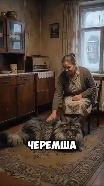 как появилась черемша