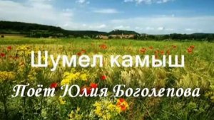 Шумел камыш