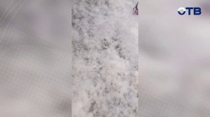 Свердловское утро от 17.06.26